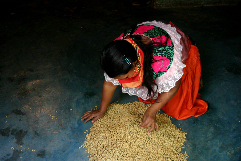 produttori della cooperativa Tatawelo - zona del Caracol di Morelia - Chiapas - dic.'05