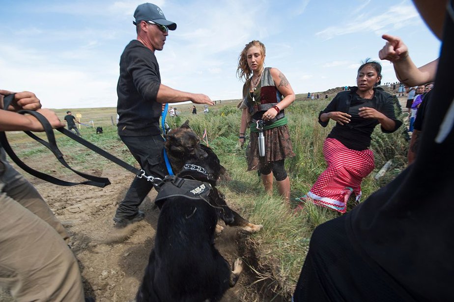 A protestor is treated after being pepper sprayed by private security contractors on land being graded for the Dakota Access Pipeline (DAPL) oil pipeline, near Cannon Ball, North Dakota, September 3, 2016.   Hundreds of Native American protestors and their supporters, who fear the Dakota Access Pipeline will polluted their water, forced construction workers and security forces to retreat and work to stop. / AFP / Robyn BECK        (Photo credit should read ROBYN BECK/AFP/Getty Images)