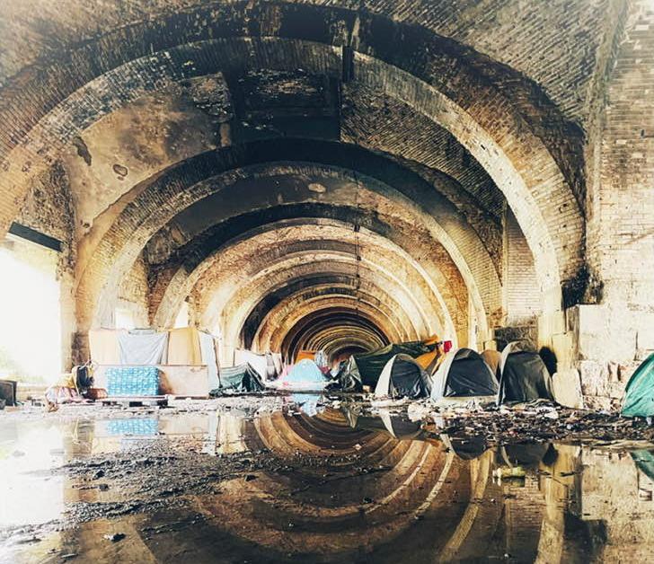 Dal Silos di Trieste. Ma soprattutto da altrove