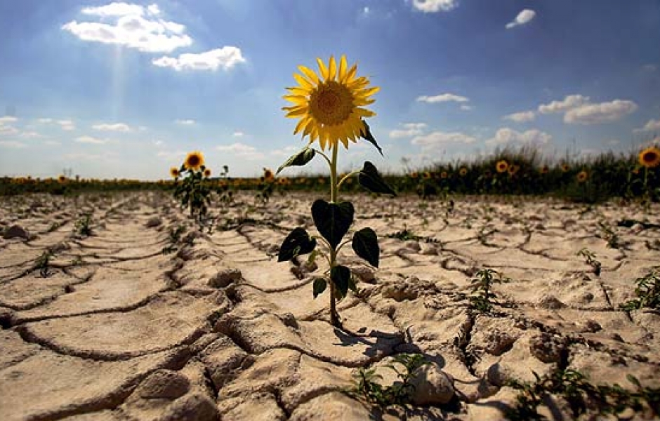 Cambiamento Climatico, l'appello dell'ONU: cambiare rotta entro il 2050